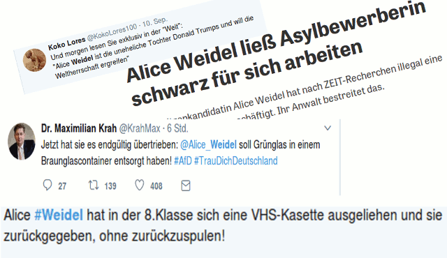 Alice-Weidel-Skandale Alice-Weidel-Skandale