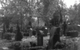 Hauptfriedhof Ulm