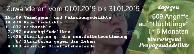 1.000 Sexualdelikte in 1 Monat